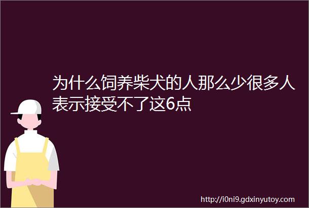 为什么饲养柴犬的人那么少很多人表示接受不了这6点